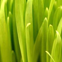 ddos怎么简单攻击一个网站